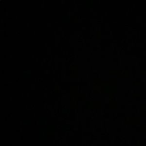 Meet your Posher, Gracie